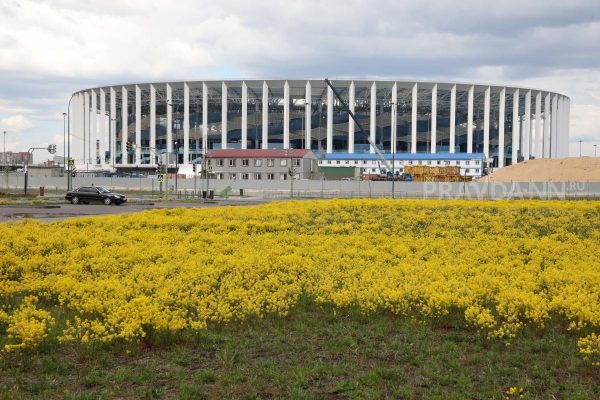 Финал Кубка России по футболу может пройти в Нижнем Новгороде
