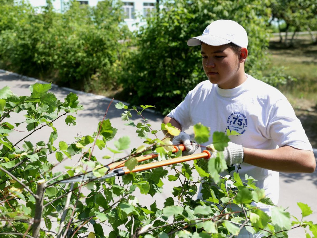 Более 500 подростков трудоустроены в летний период в Дзержинске
