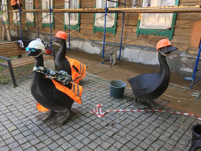 Арзамасские гуси надели каски на время реставрации дома на улице Карла Маркса
