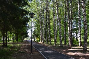 В Тонкине готовятся к празднованию 300-летия посёлка
