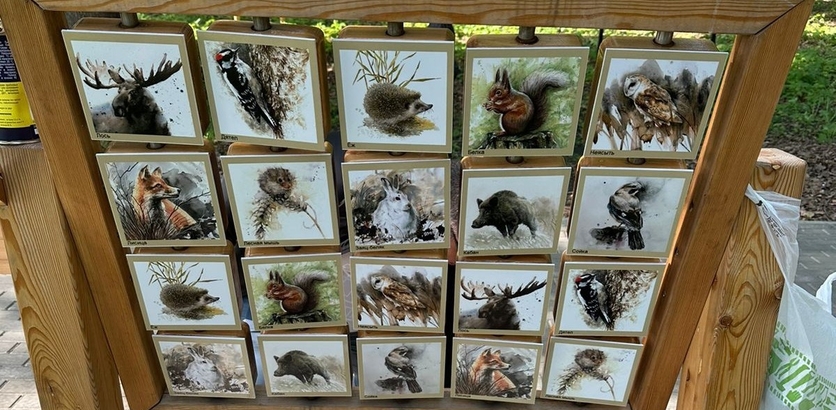 Арт-объект с изображениями растений, животных и птиц восстановили в сквере на Невской Дубраве