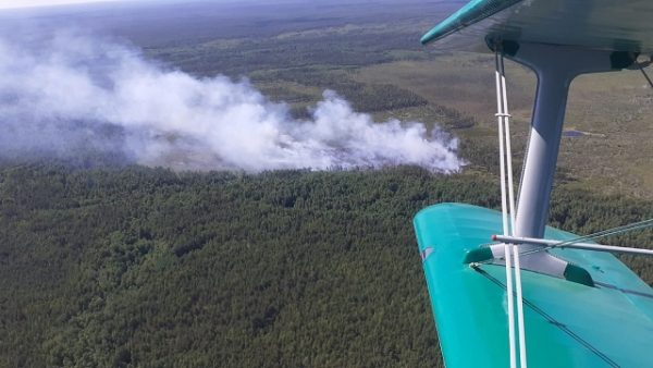 В Керженском заповеднике тушат пожар из-за удара молнии