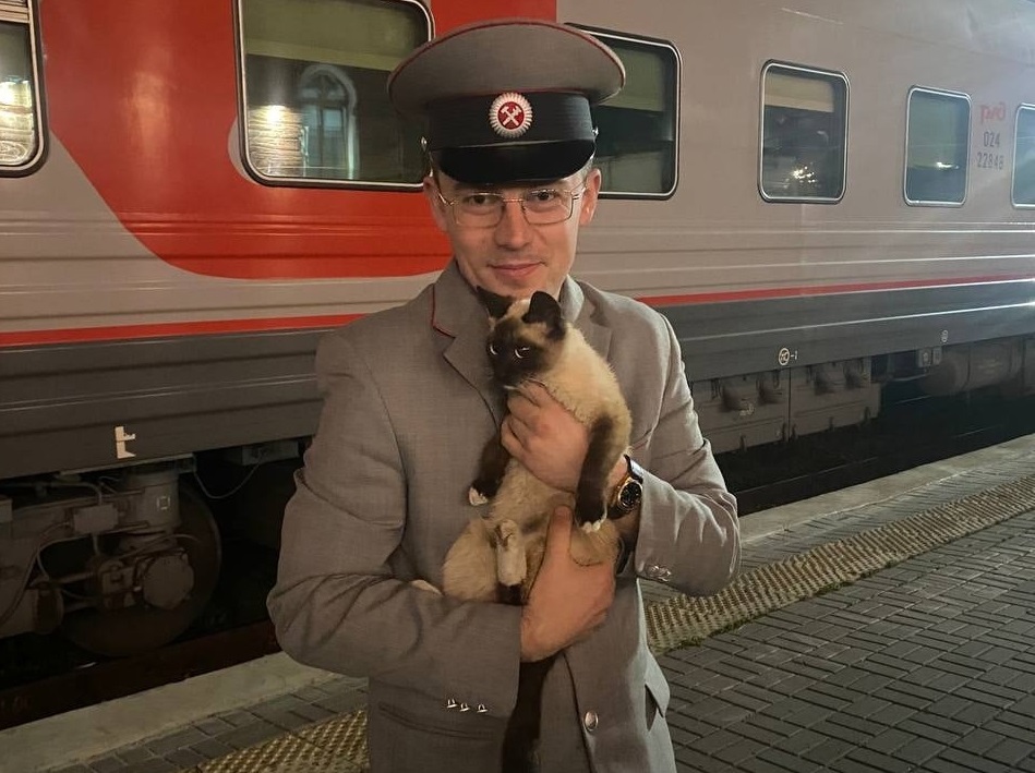 В Арзамасе ищут хозяев сбежавшего из поезда кота