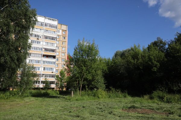Жители Сормова выступили против строительства многоэтажки на месте рощи