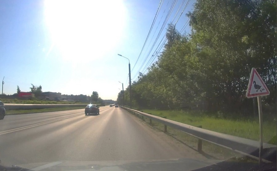 «Осторожно, утки»: новый дорожный знак установили в Нижнем Новгороде