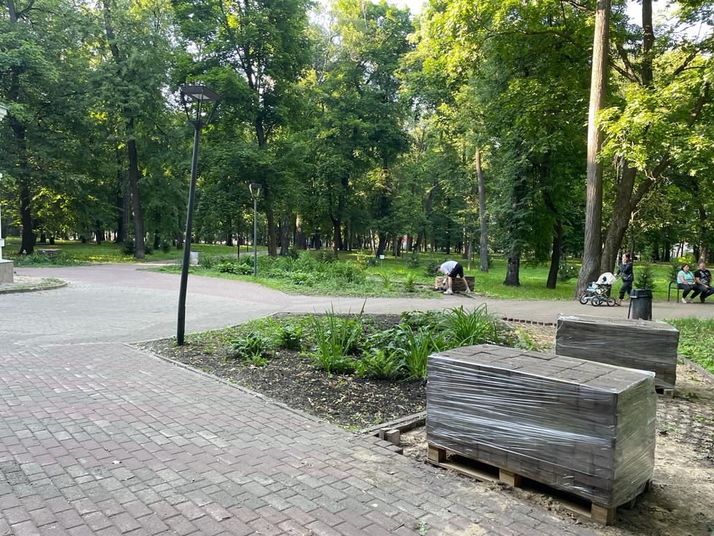 Парк имени Кулибина в Нижнем Новгороде начали приводить в порядок