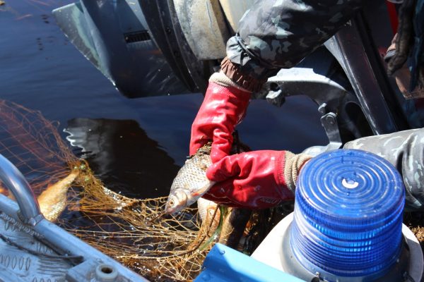 В Нижегородской области сняты ограничения на рыбную ловлю