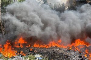 Свалка мусора загорелась в поселке Селекционной станции 7 июня