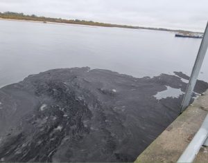 Нижегородское предприятие оштрафовали из-за севшего на мель&nbsp;судна