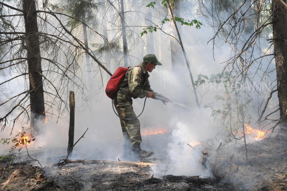 Два гектара леса загорелись в Керженском заповеднике