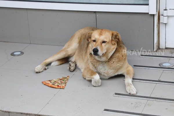 Приметы на 9 января: что можно и чего нельзя делать в этот&nbsp;день