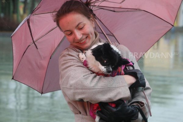 Читатели «Нижегородской правды» могут выбрать самых красивых кошек и собак