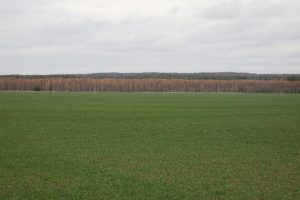 Налог на заброшенные участки земли в Нижегородской области вырастет в пять&nbsp;раз