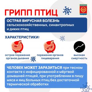 В поселке Юрьевце купируют вспышку птичьего гриппа