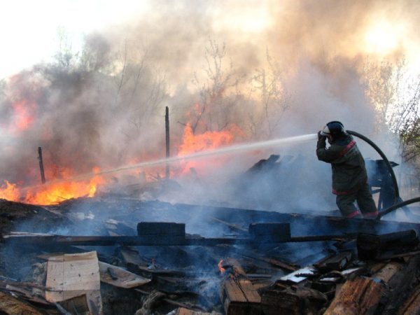 Два человека погибли при пожаре в деревне Звягино Вачского района