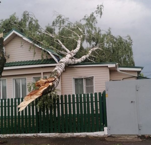 Опубликованы фотографии последствий непогоды в Нижегородской области