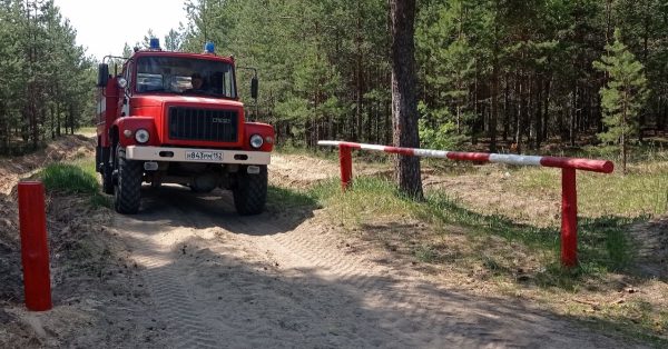 Управление ГОЧС прогнозирует повышение класса пожарной опасности в лесах в ближайшую неделю