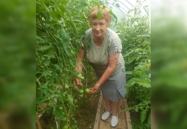 Жительница Шахуньи поделилась секретами хорошего урожая помидоров