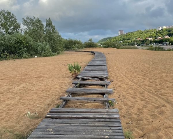Пляж Гребного канала приведут в порядок в начале августа
