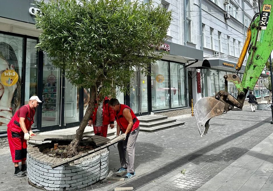 На улице Большой Покровской посадят новые деревья