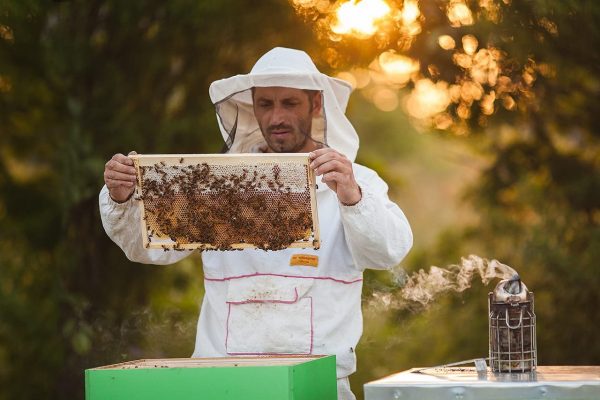 Бросить все: нижегородская семья Кулешовых уехала в деревню ради пчеловодства