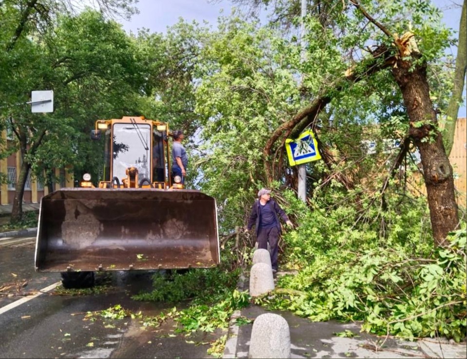 Поваленные деревья и град: смотрим последствия непогоды в Нижнем Новгороде