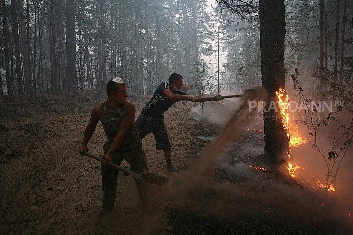 Высокая пожароопасность лесов и торфяников ожидается в Нижегородской области на этой неделе
