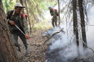 Высокая пожароопасность лесов и торфяников ожидается в Нижегородской области на этой неделе