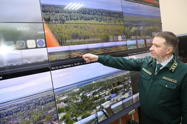 Третий класс пожароопасности установился в лесах Нижнего Новгорода