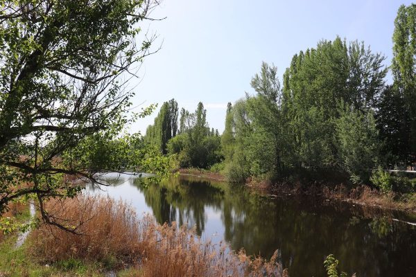 В Нижнем Новгороде стартовали работы по созданию экотропы вдоль реки Левинка