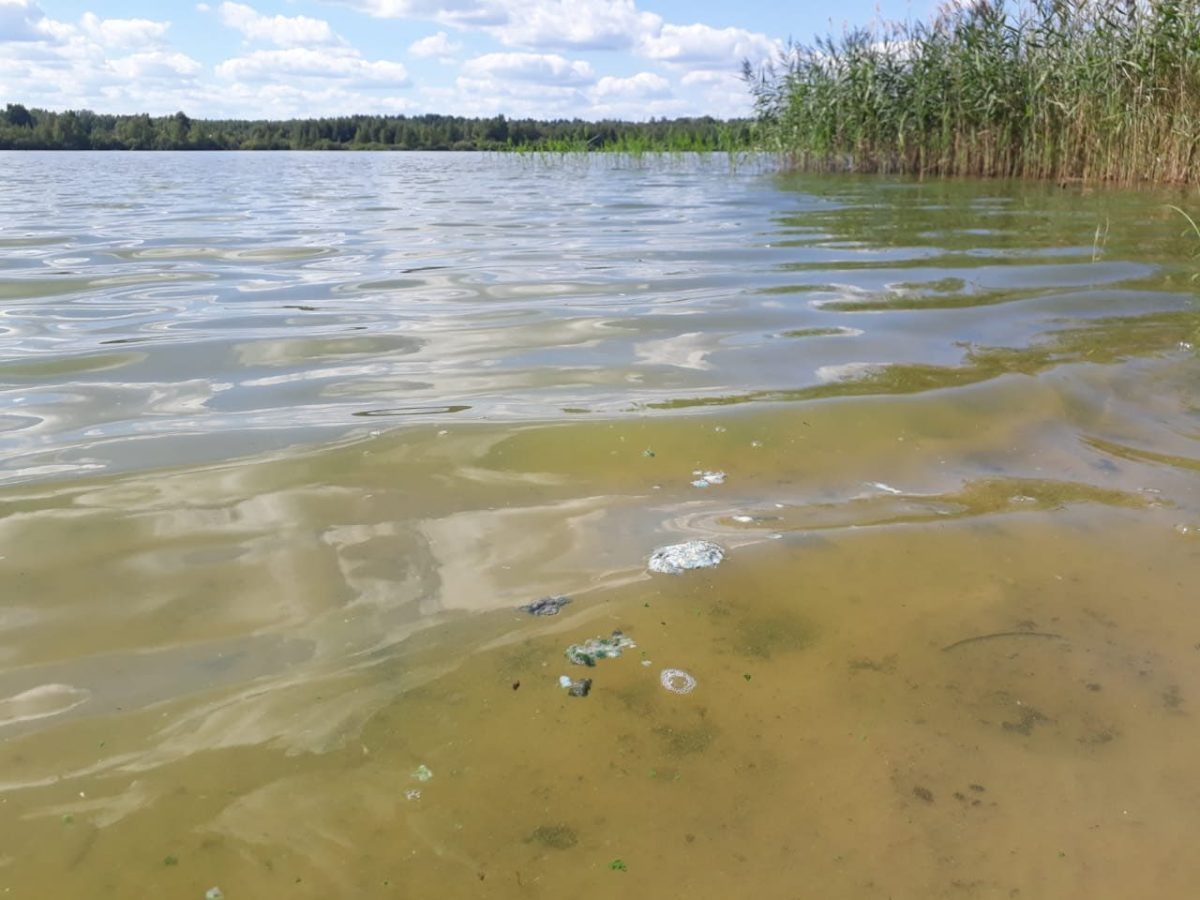 Стали известны результаты предварительной проверки воды в озере Нестиар, куда сбросили нечистоты