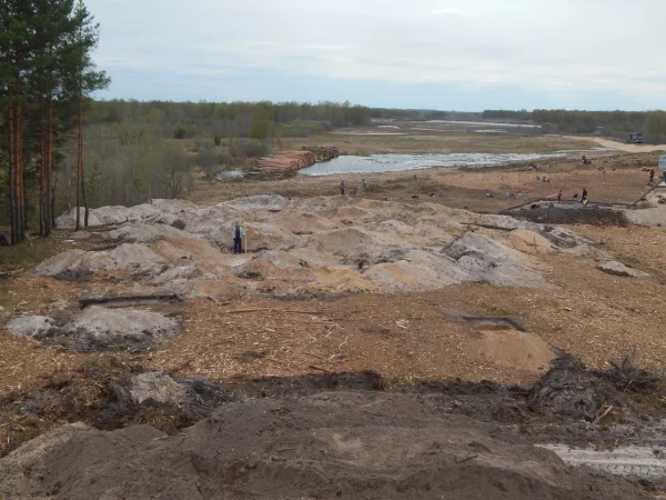 Остатки 9 древних поселений нашли археологи при строительстве трассы М‑12 в Нижегородской области