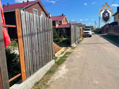 Уголовное дело возбудили в Богородском округе из-за нападения ротвейлера на ребенка