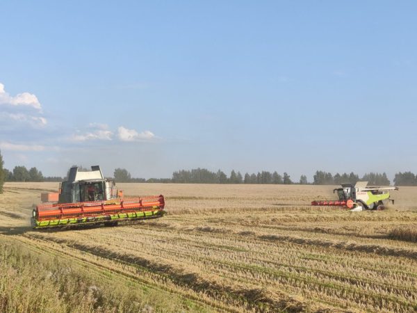 Более 1,5 млн тонн зерна собрано в Нижегородской области с начала уборочной