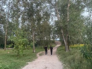Новую дорожку вдоль Мещерского озера, о которой просили местные жители, не будут строить
