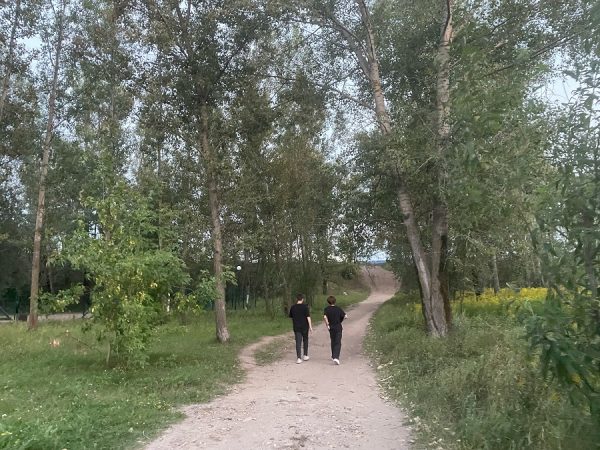 Новую дорожку вдоль Мещерского озера, о которой просили местные жители, не будут строить