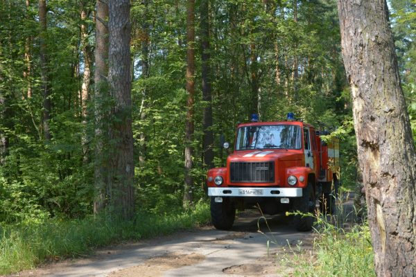 В Нижнем Новгороде продолжается патрулирование лесов в усиленном режиме
