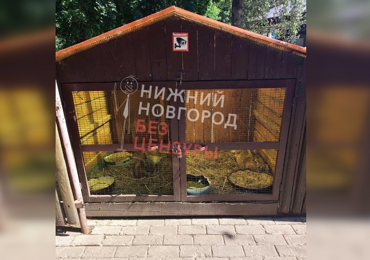 Сотрудники мини-зоопарка «Кошкин хутор» планируют изменить условия содержания животных