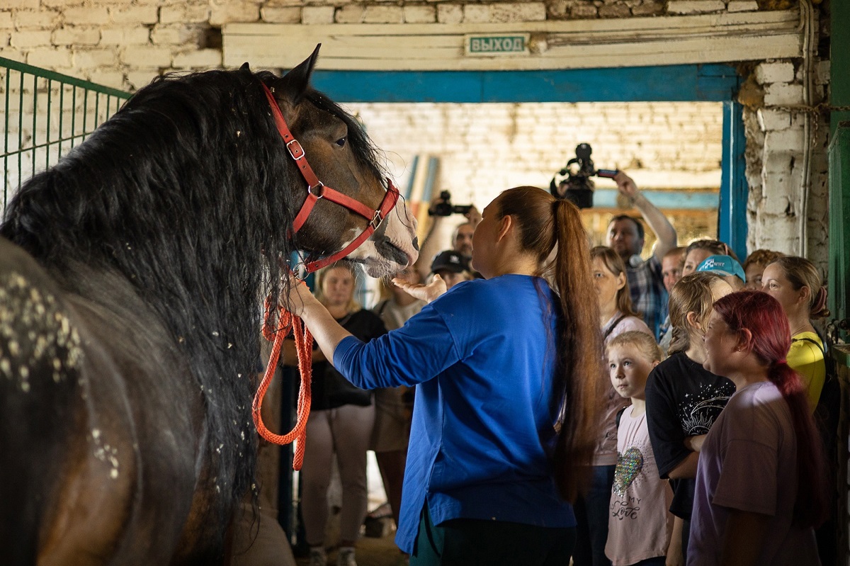 О чем думает лошадь? В Кстовском округе знают, как заинтересовать детей деревенской жизнью