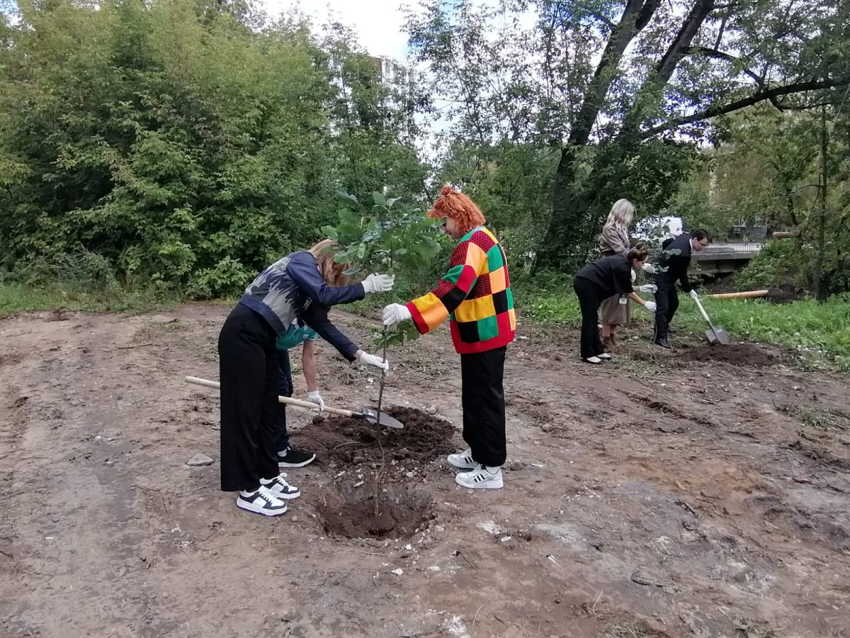 «Молодежная аллея дружбы народов Евразии» появилась на берегу реки Борзовки в Нижнем Новгороде