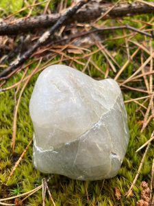 архив Марии Кошуняевой