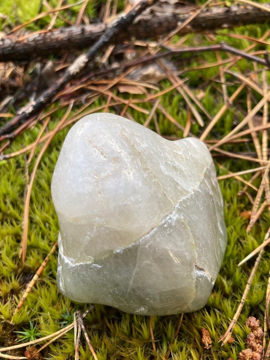 архив Марии Кошуняевой