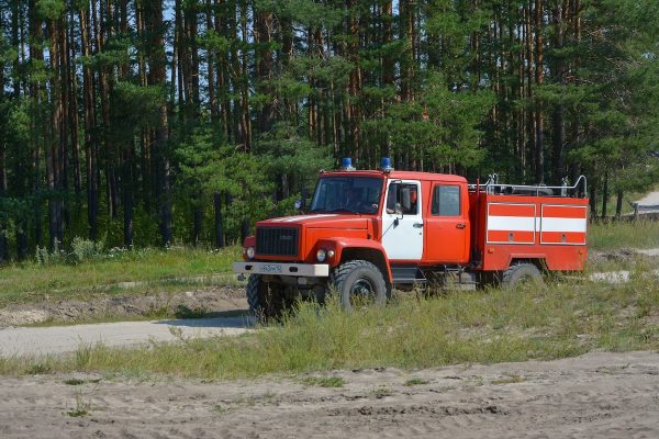 Более 400 патрулирований проведено в городских лесах с начала пожароопасного сезона