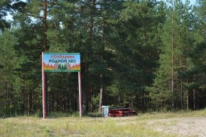 С начала пожароопасного периода пожаров в городских лесах Нижнего Новгорода не зарегистрировано