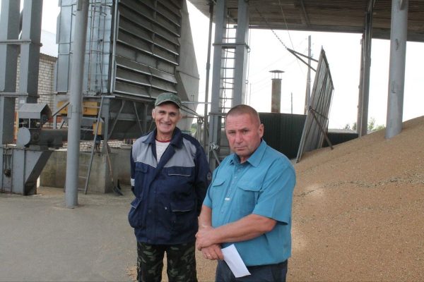 В «Ягодном» первыми в Перевозском округе завершили уборку зерновых