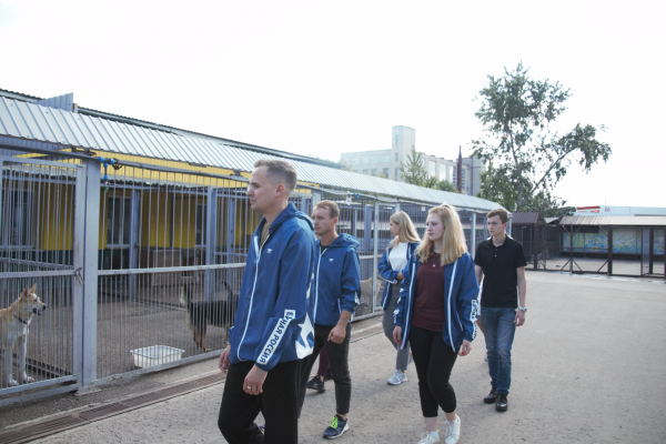 В Нижегородской области стартовала традиционная акция «Лучший друг» в помощь бездомным животным