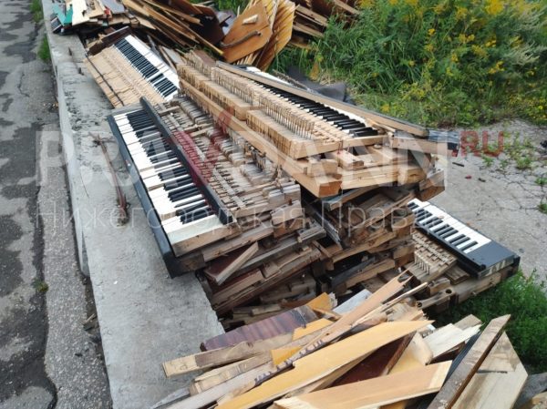 Огромная свалка старых роялей образовалась в гаражном массиве в Кузнечихе
