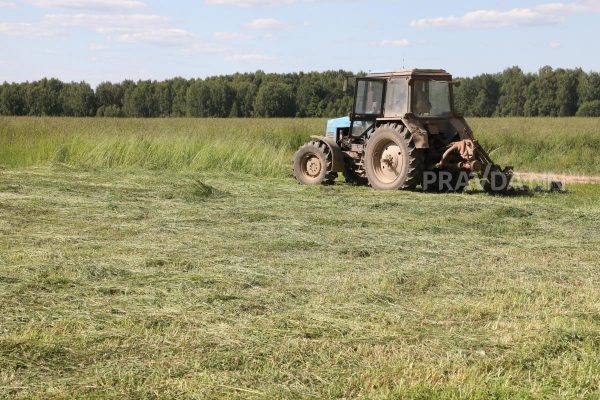 Приметы на 10 июля: что можно и чего нельзя делать в этот&nbsp;день