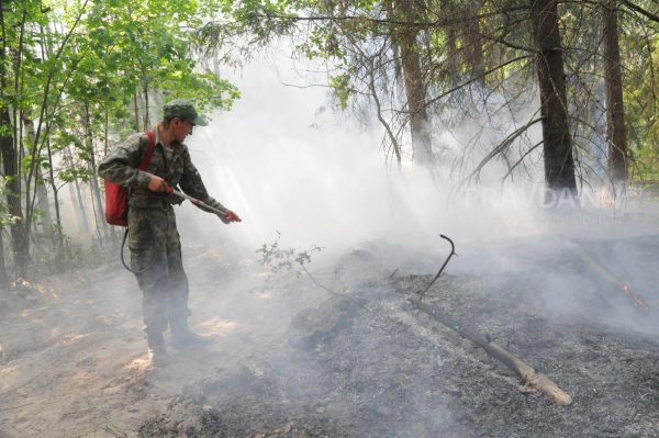Чрезвычайная пожароопасность лесов прогнозируется в Нижегородской области до 4 сентября