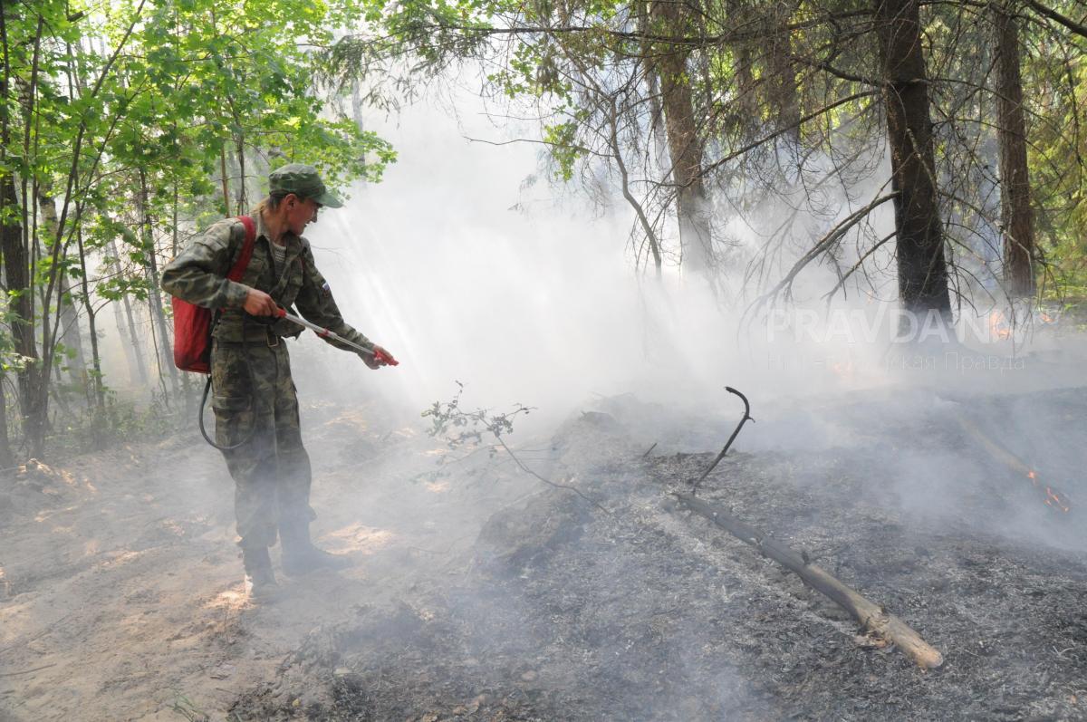Высокая пожароопасность лесов и торфяников ожидается в Нижегородской области с 19 августа